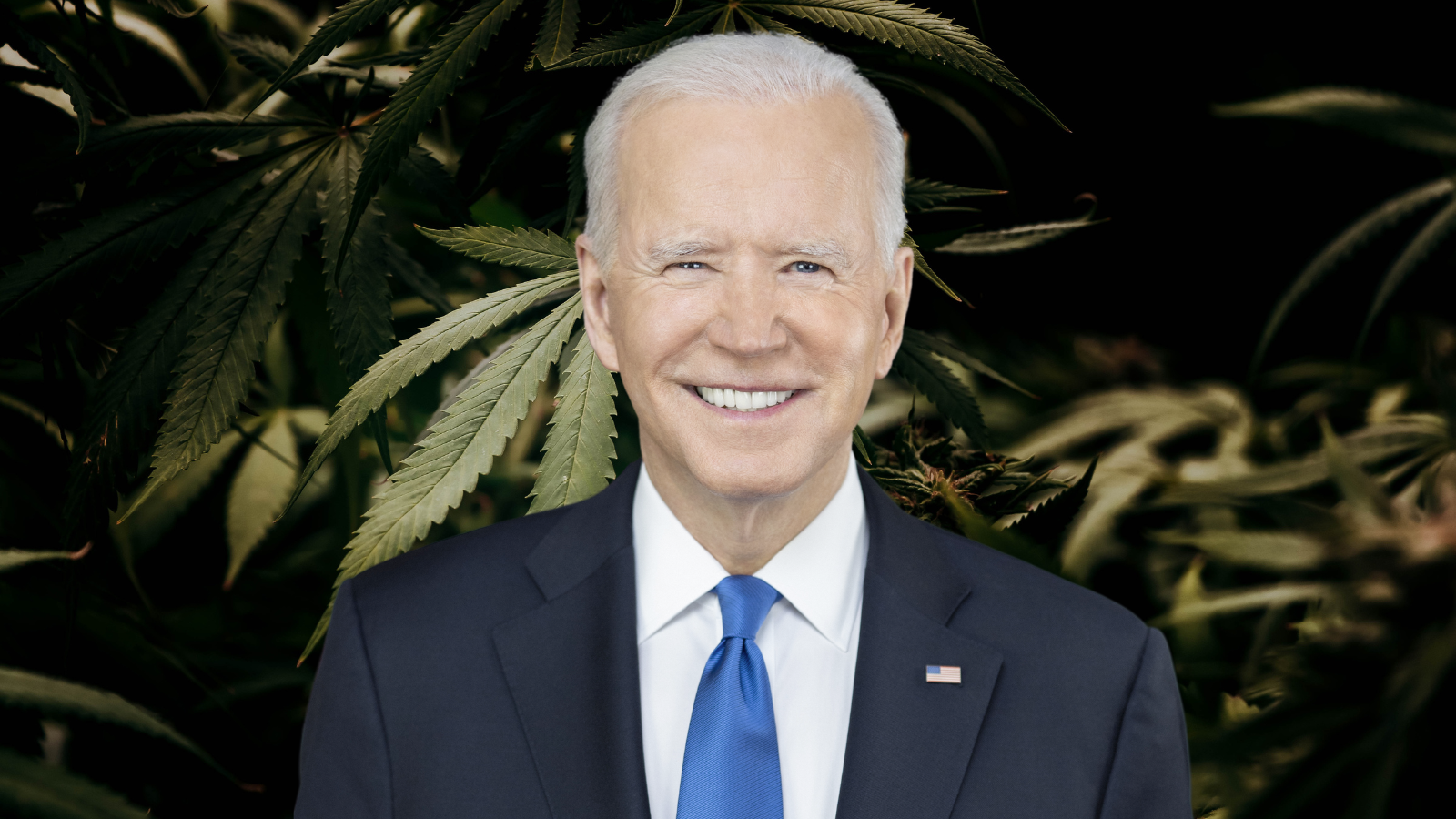 Biden Proposes to Block Marijuana Sales in D.C. Despite New Approach to Cannabis