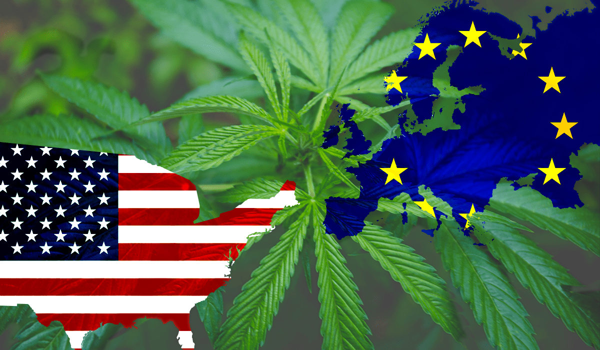 New York vs. Europe: Cannabis Industry Insiders Break Down Key Differences